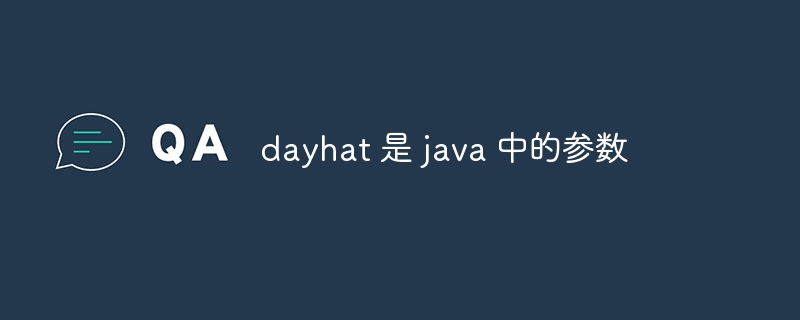 dayhat 是 java 中的参数