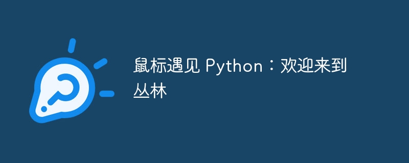 鼠标遇见 python：欢迎来到丛林