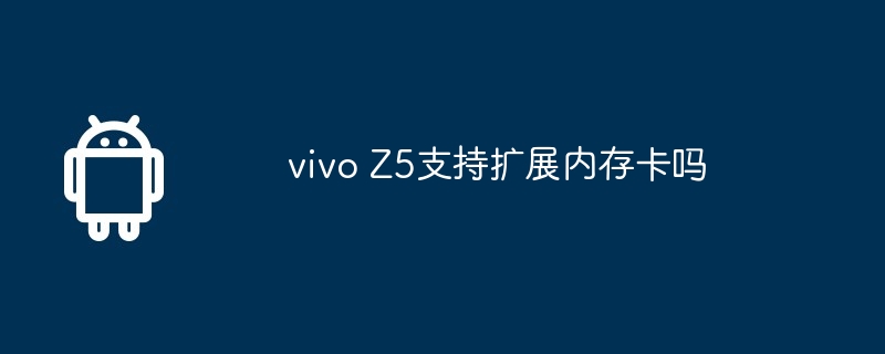 vivo Z5支持扩展内存卡吗