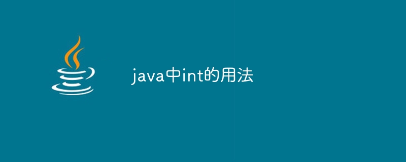 java中int的用法