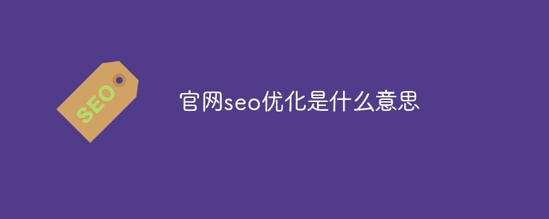 官网seo优化是什么意思