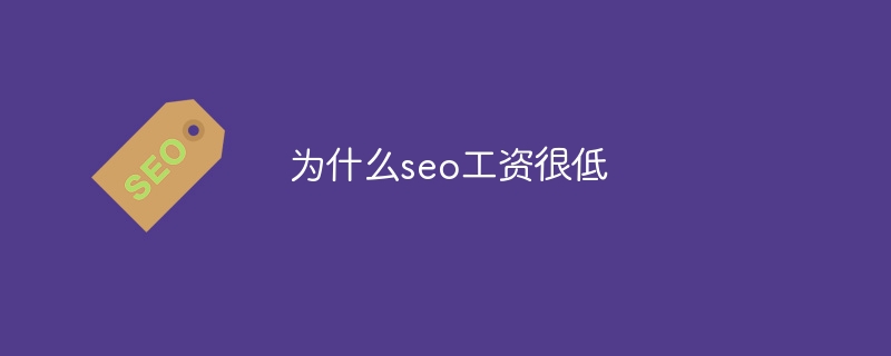 为什么seo工资很低