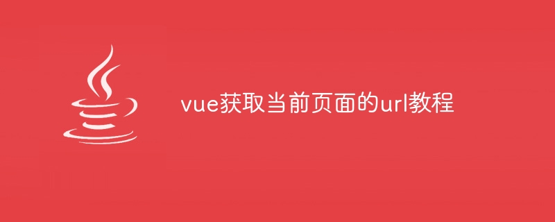 vue获取当前页面的url教程