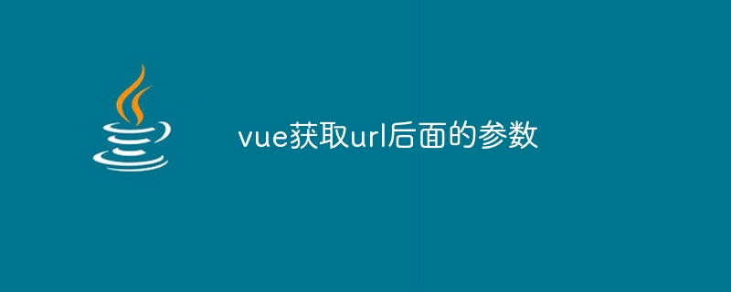 vue获取url后面的参数