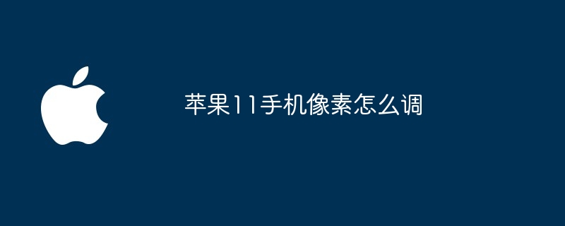 苹果11手机像素怎么调