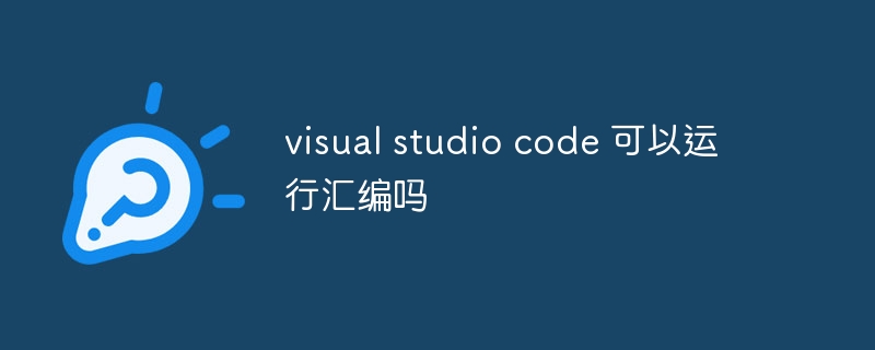 visual studio code 可以运行汇编吗