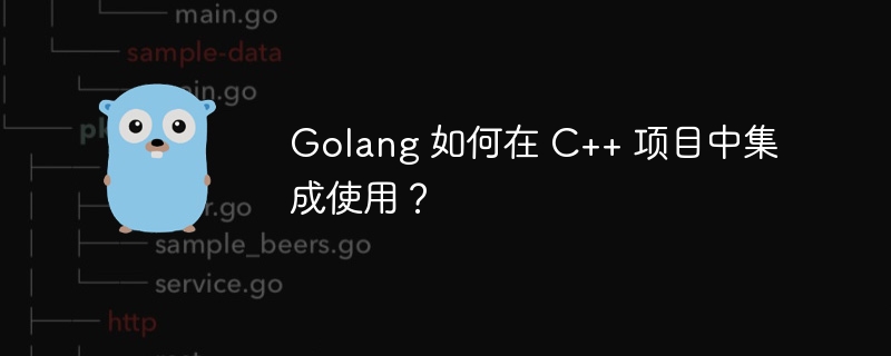 Golang 如何在 C++ 项目中集成使用？