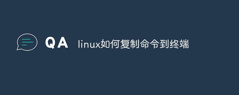 linux如何复制命令到终端