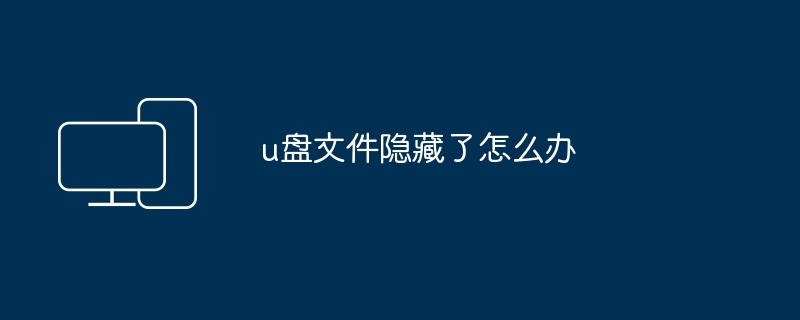 u盘文件隐藏了怎么办