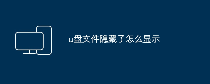 u盘文件隐藏了怎么显示