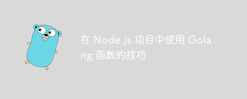 在 Node.js 项目中使用 Golang 函数的技巧