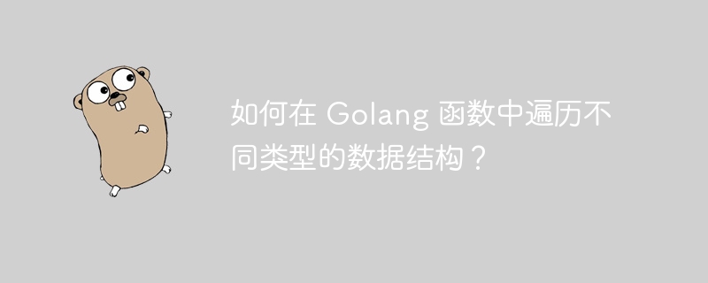 如何在 Golang 函数中遍历不同类型的数据结构？