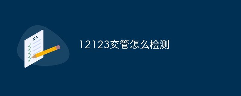 12123交管怎么检测