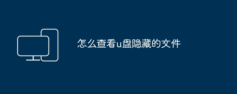 怎么查看u盘隐藏的文件