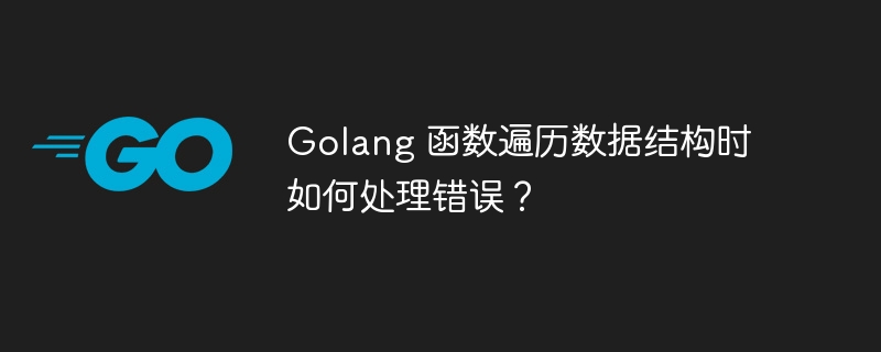 Golang 函数遍历数据结构时如何处理错误？