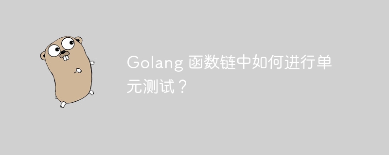 Golang 函数链中如何进行单元测试？