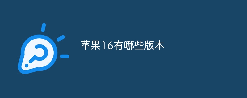 苹果16有哪些版本