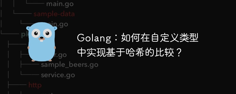 Golang：如何在自定义类型中实现基于哈希的比较？