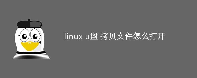 linux u盘 拷贝文件怎么打开