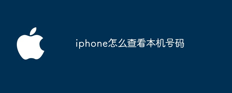 iphone怎么查看本机号码