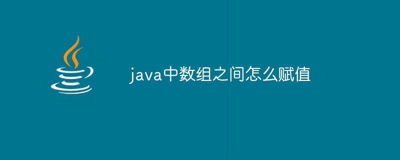 java中数组之间怎么赋值