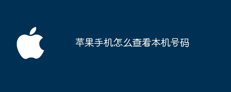 苹果手机怎么查看本机号码