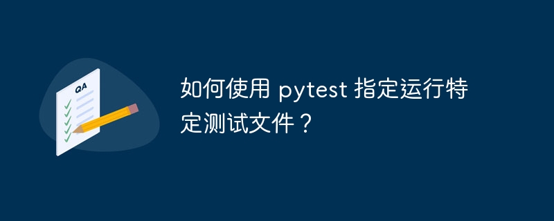 如何使用 pytest 指定运行特定测试文件？