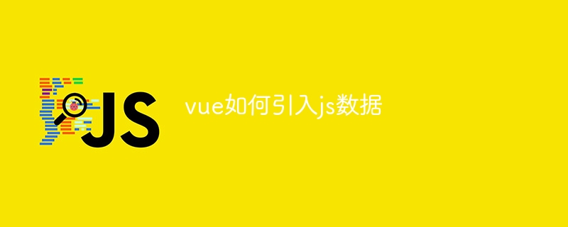 vue如何引入js数据