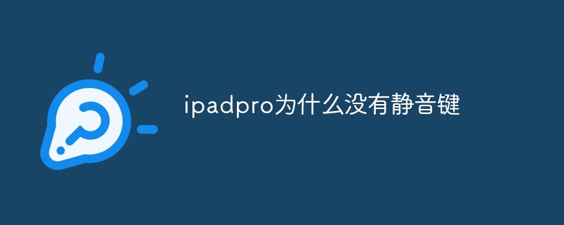 ipadpro为什么没有静音键