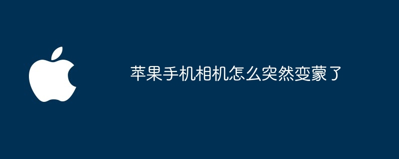 苹果手机相机怎么突然变蒙了