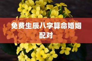 免费生辰八字算命婚姻配对