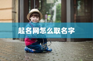 起名网怎么取名字