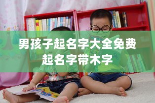 男孩子起名字大全免费起名字带木字