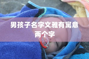 男孩子名字文雅有寓意两个字