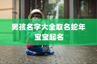男孩名字大全取名蛇年宝宝起名