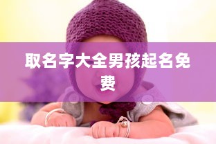 取名字大全男孩起名免费  第1张
