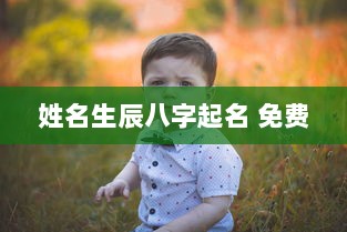 姓名生辰八字起名 免费 第1张 姓名生辰八字起名 免费 第1张