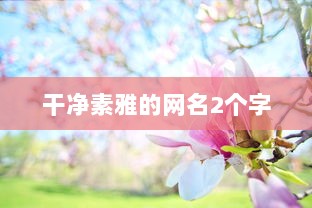 干净素雅的网名2个字  第1张