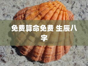 免费算命免费 生辰八字