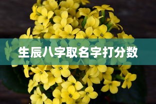 生辰八字取名字打分数