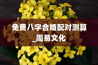免费八字合婚配对测算_周易文化 第1张 免费八字合婚配对测算_周易文化 第1张