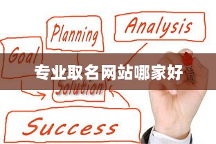 专业取名网站哪家好