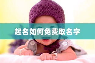 起名如何免费取名字