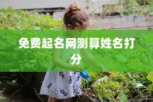 免费起名网测算姓名打分