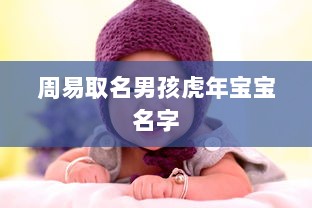 周易取名男孩虎年宝宝名字  第1张