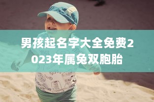 男孩起名字大全免费2023年属兔双胞胎