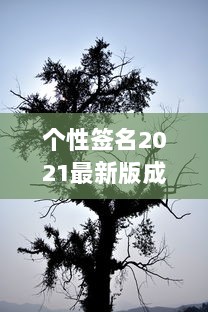 个性签名2021最新版成熟  第1张