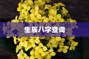 生辰八字查询