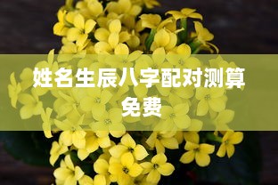 姓名生辰八字配对测算 免费  第1张
