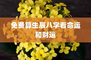 免费算生辰八字看命运和财运